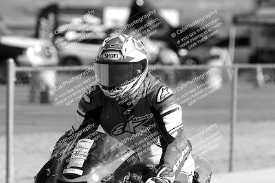 media/Feb-23-2025-2WTD (Sun) [[9604a77d5d]]/1-Around the Pits/